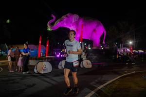 BIB: 
                            <button type="button" onclick="openModal(26552225)" class="btn btn-primary btn-sm float-right btn-popup" data-toggle="modal" data-target=".modal-high-quality">
                        <i class="fas fa-shopping-cart"></i> Add to Cart
                    </button>
                                            <button type="button" onclick="isThisMe(26552225, true)" class="btn btn-success btn-sm float-right btn-popup btn-isme hidden" data-toggle="tooltip" data-placement="bottom" title="นี่คือรูปของคุณใช่ไหม คลิกที่นี่เพื่อเอาเข้าอัลบั้ม">
                        <i class="fas fa-plus"></i> Add to album
                    </button>
                    <button type="button" onclick="isThisMe(26552225, false)" class="btn btn-warning btn-sm float-right btn-popup btn-isnotme hidden">
                        <i class="fas fa-ban"></i> Remove from album
                    </button>